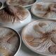 Shell service in slipware