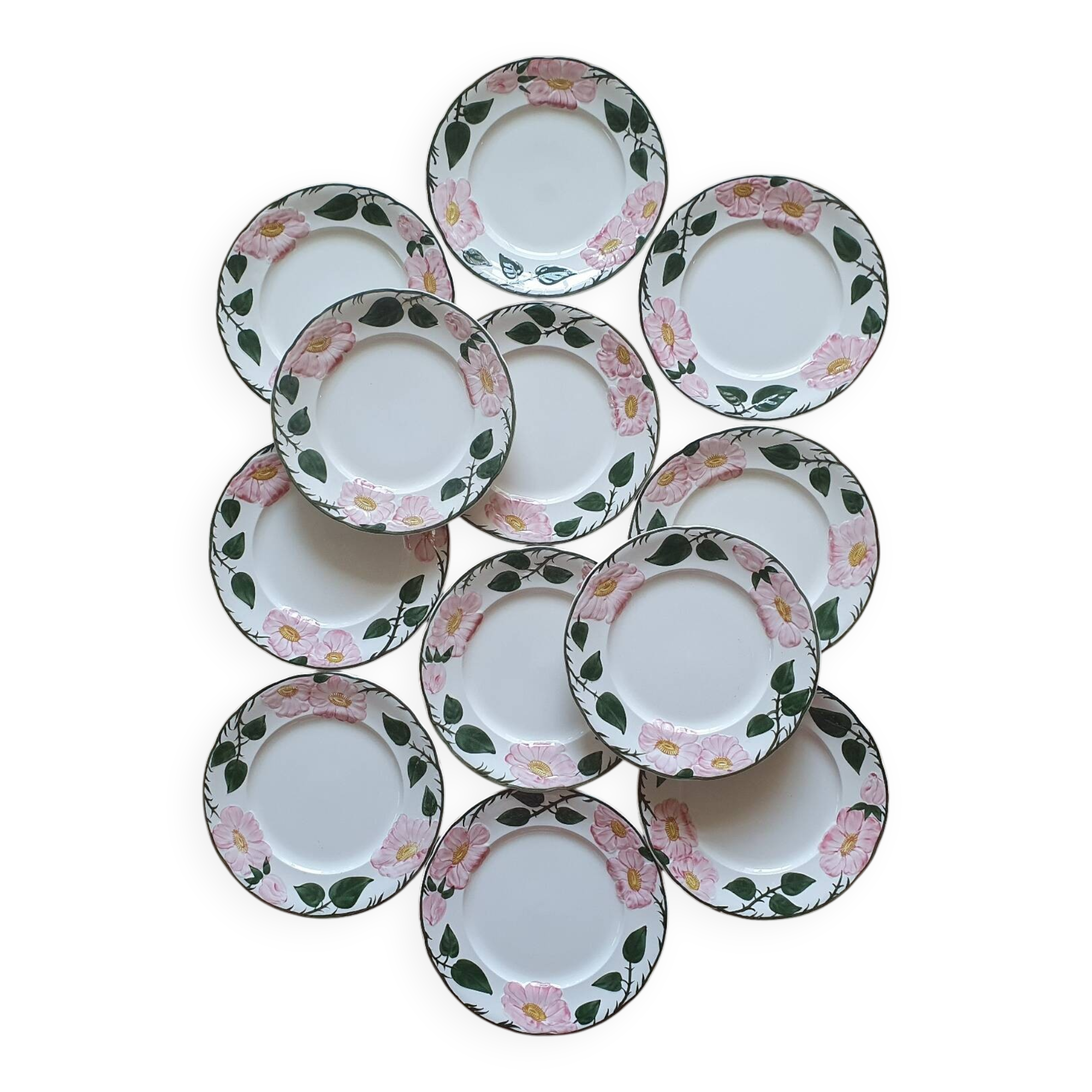 12 flat plates Villeroy and Boch Wild Rose
