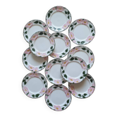 12 flat plates Villeroy and Boch Wild Rose