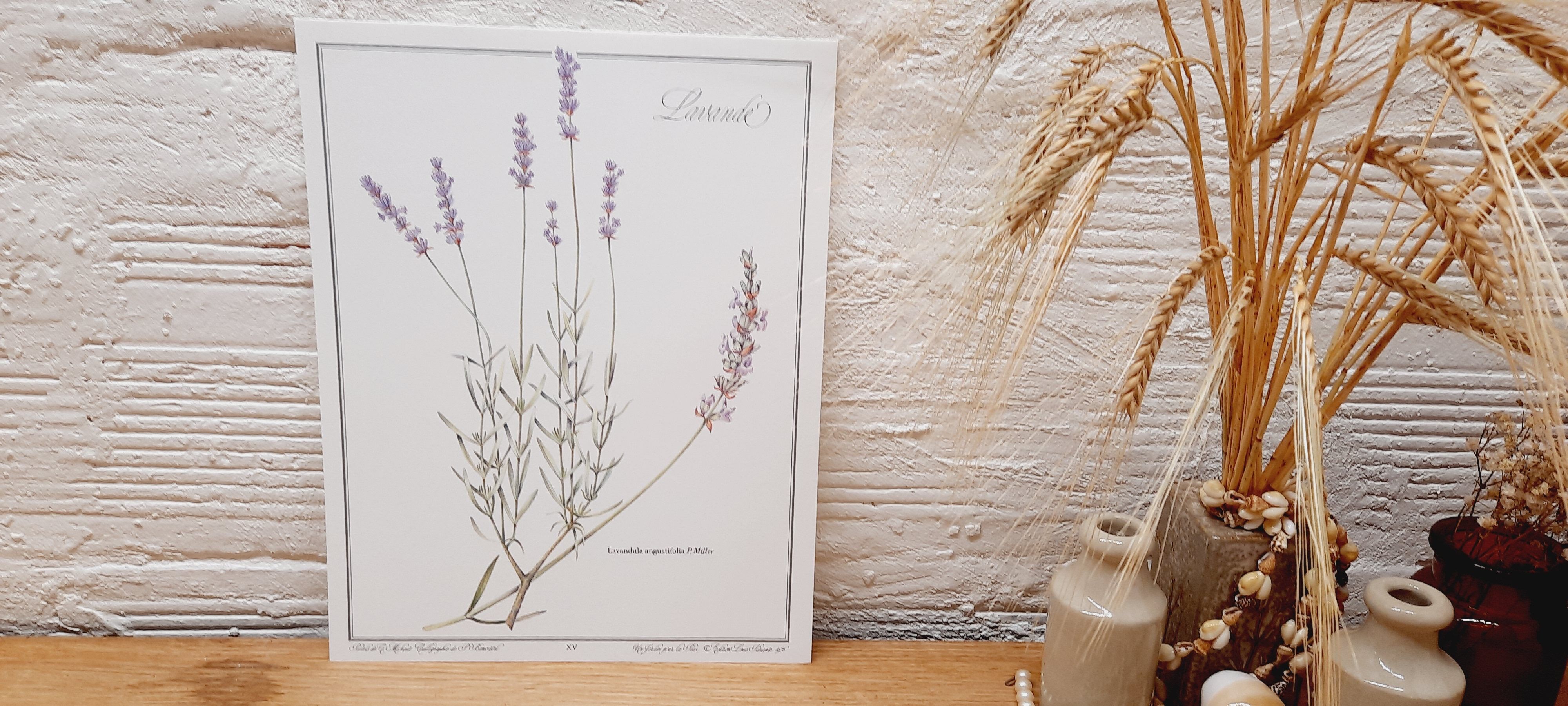 Lavender botanical board