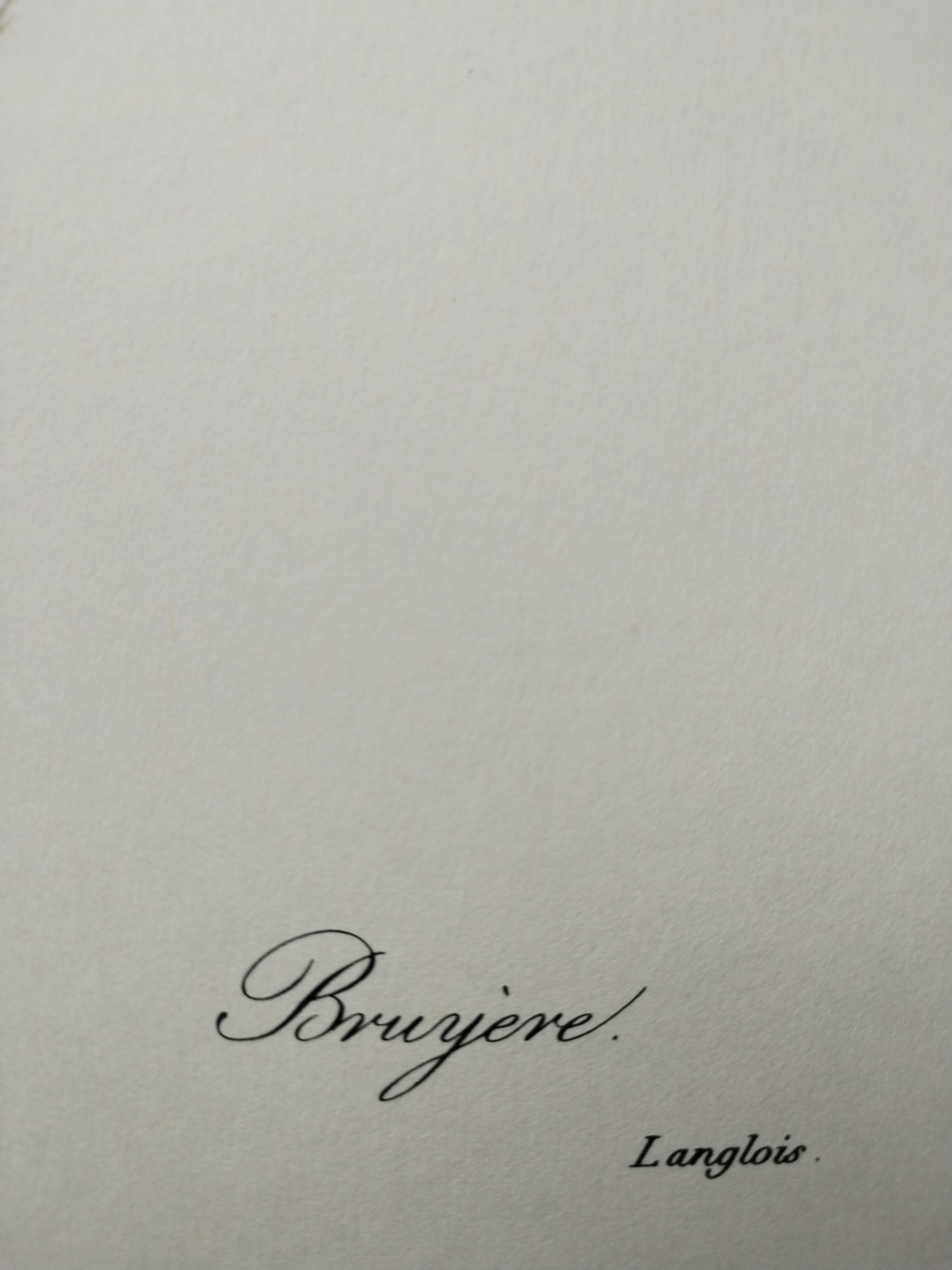 Planche illustrée originale Bruyère