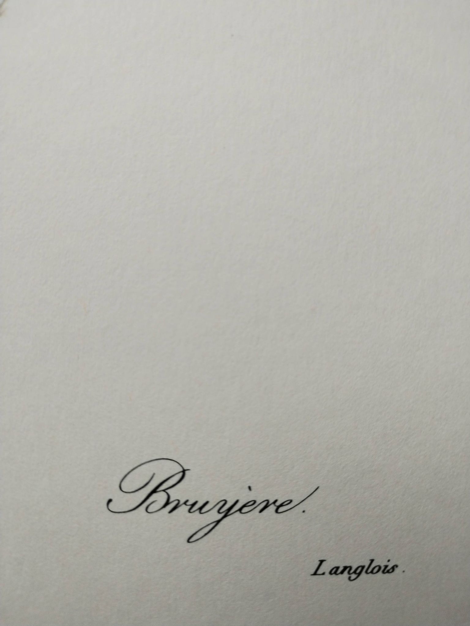 Planche illustrée originale Bruyère