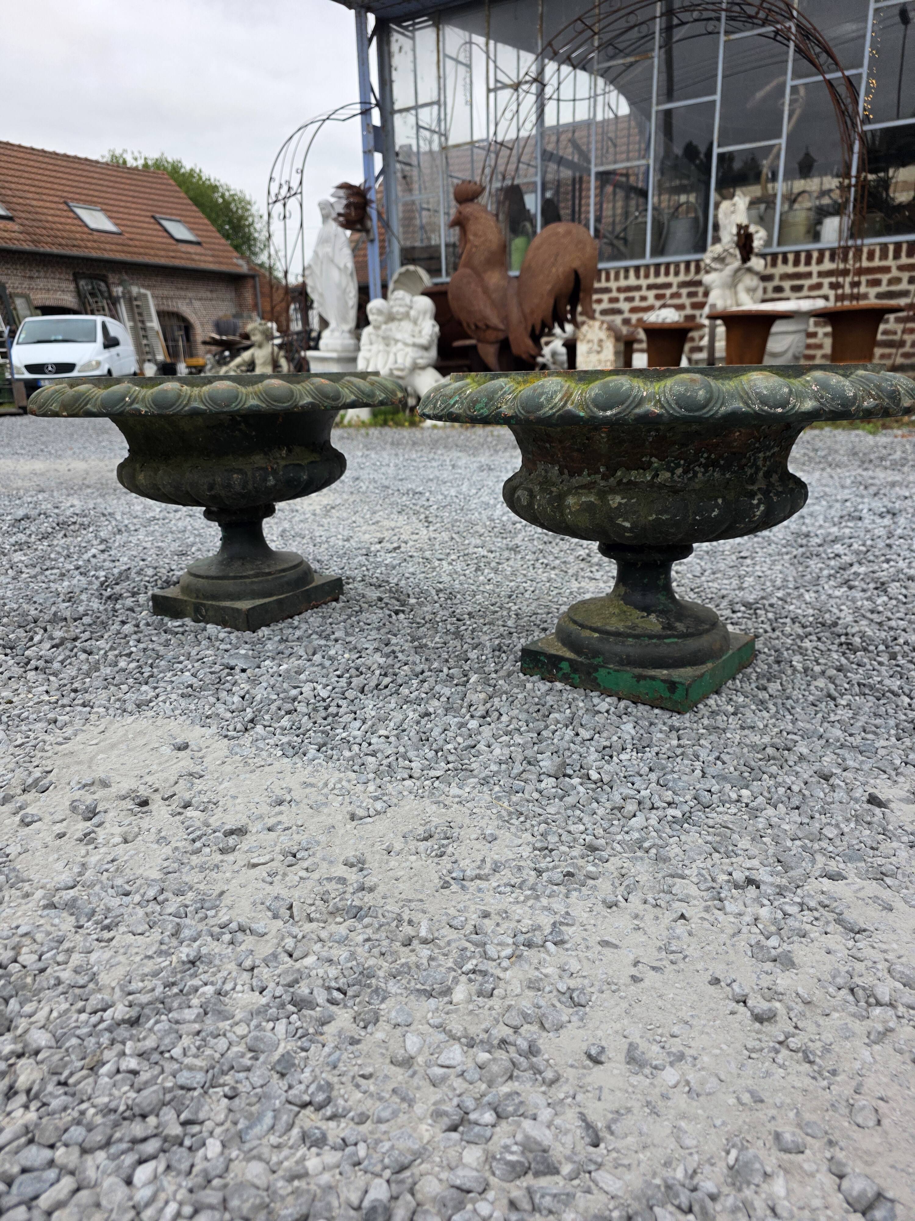 Pair of Medici vases in cast iron from the 19th century, 55cm wide.
