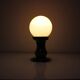 Art Deco 1930's Wall/Table Lamp, Czechoslovakia