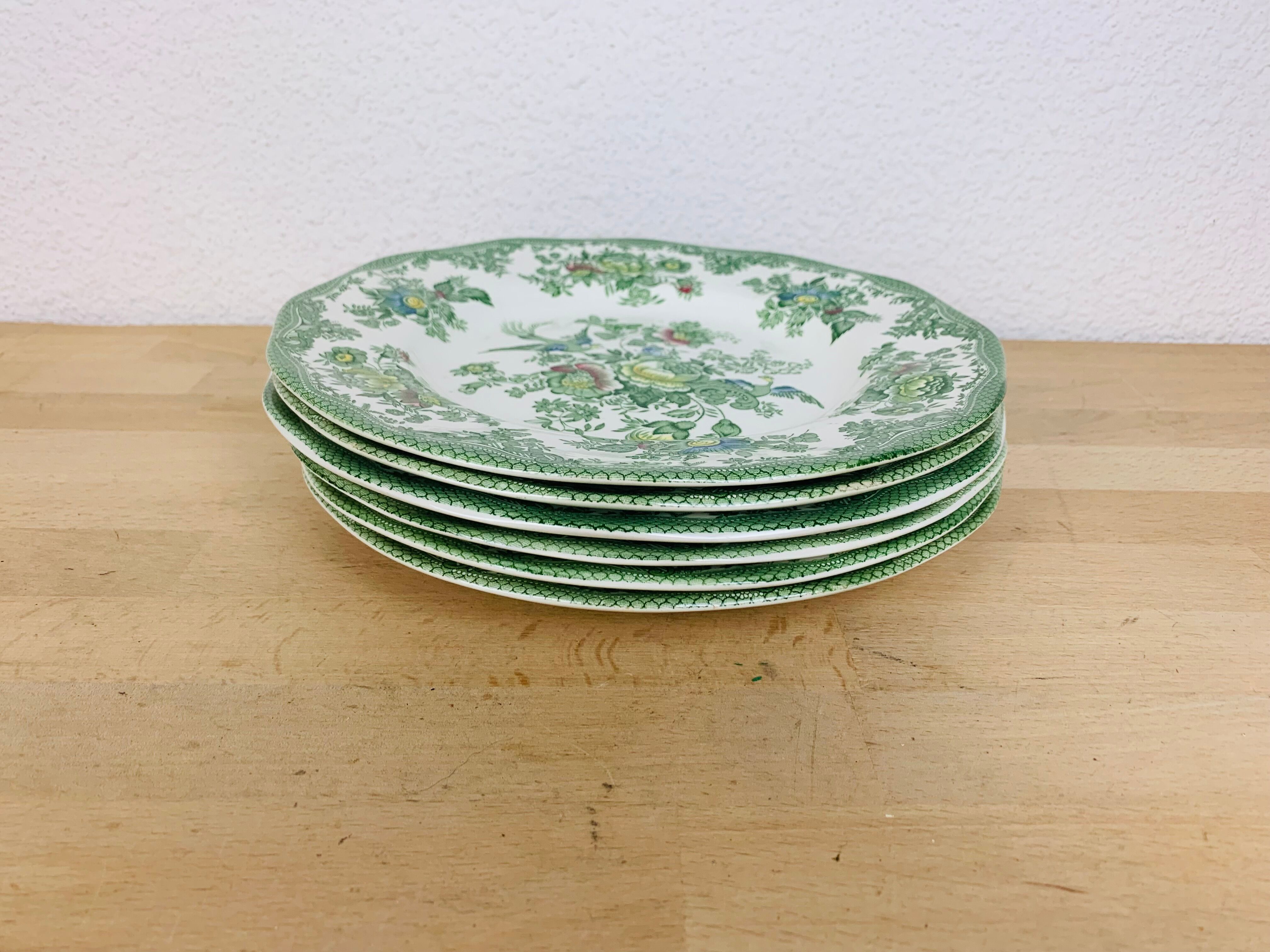 6 flat plates Wedgwood Oriental Pheasants green