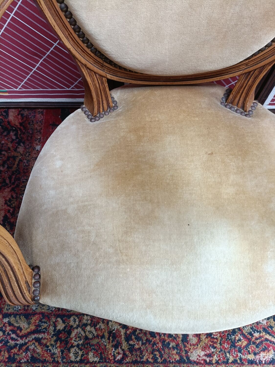 Pair of armchairs medallion Louis XV style, yellow velvet