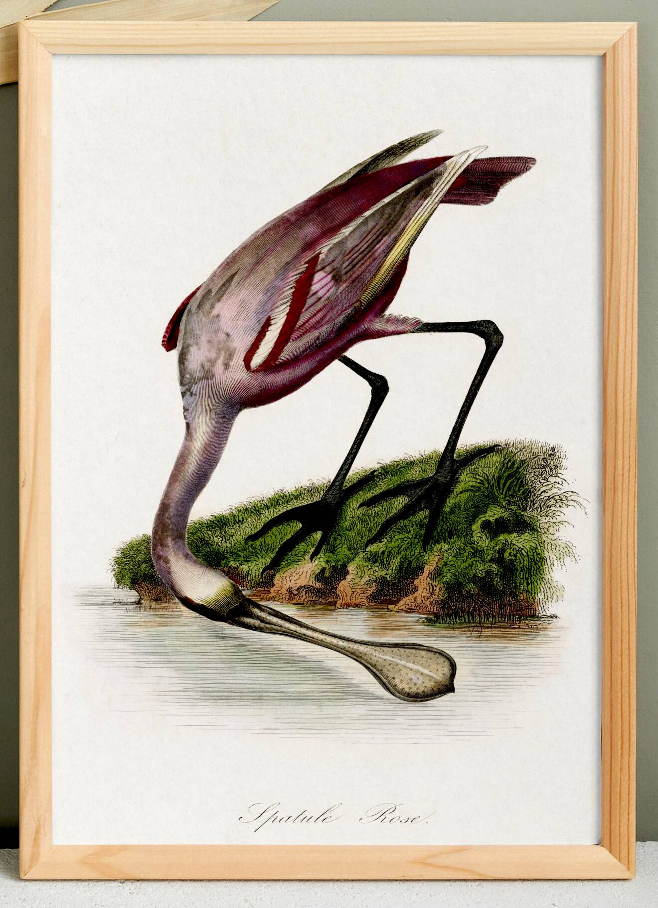 Poster for "Pink Spatula", based on an old engraving from 1842.