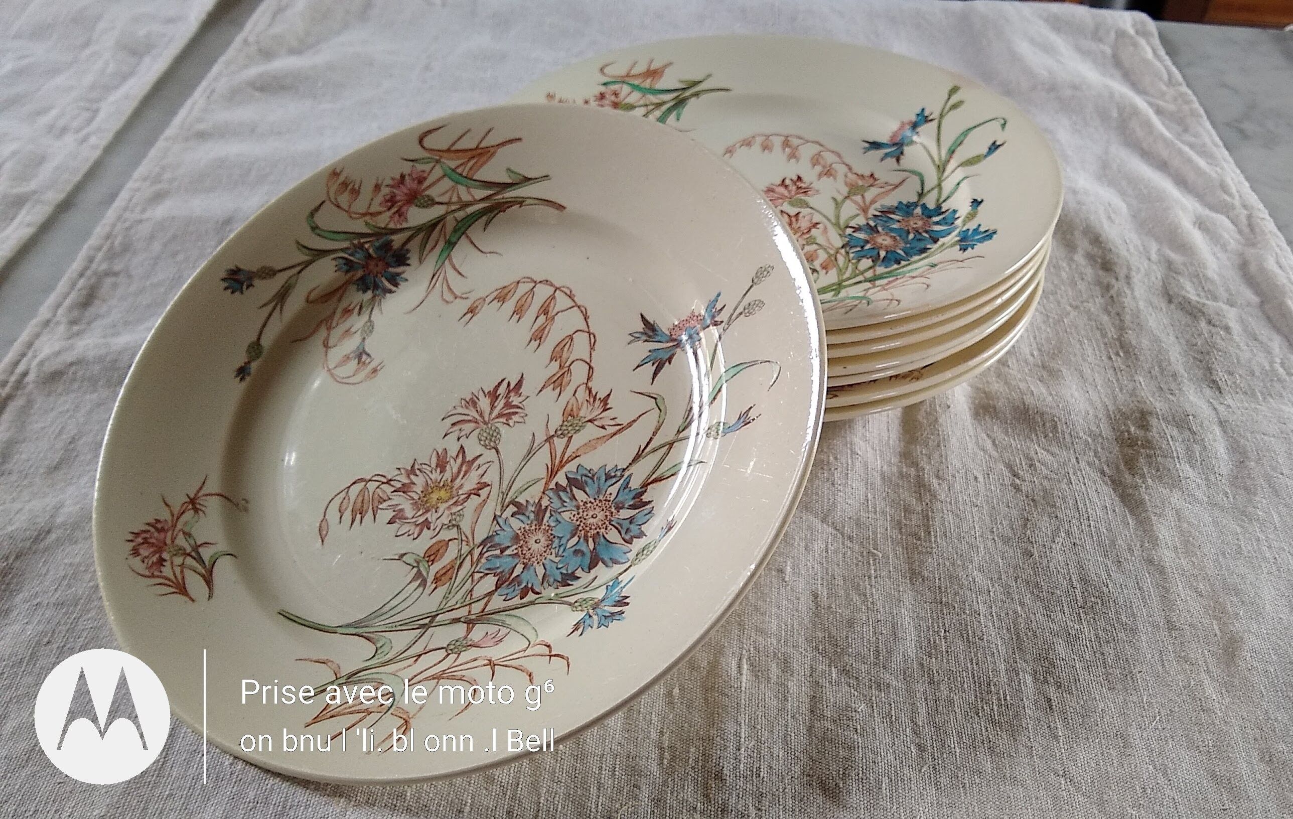 8 flat flowery plates country décor Lunéville Cornflower