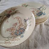 8 flat flowery plates country décor Lunéville Cornflower