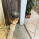 Authentic pair of Xavier Pauchard industrial Tolix metal stools 50