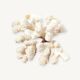 Curiosity white coral branch 17cm