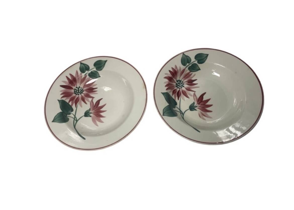 Floral deep plates hbcm