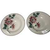 Floral deep plates hbcm