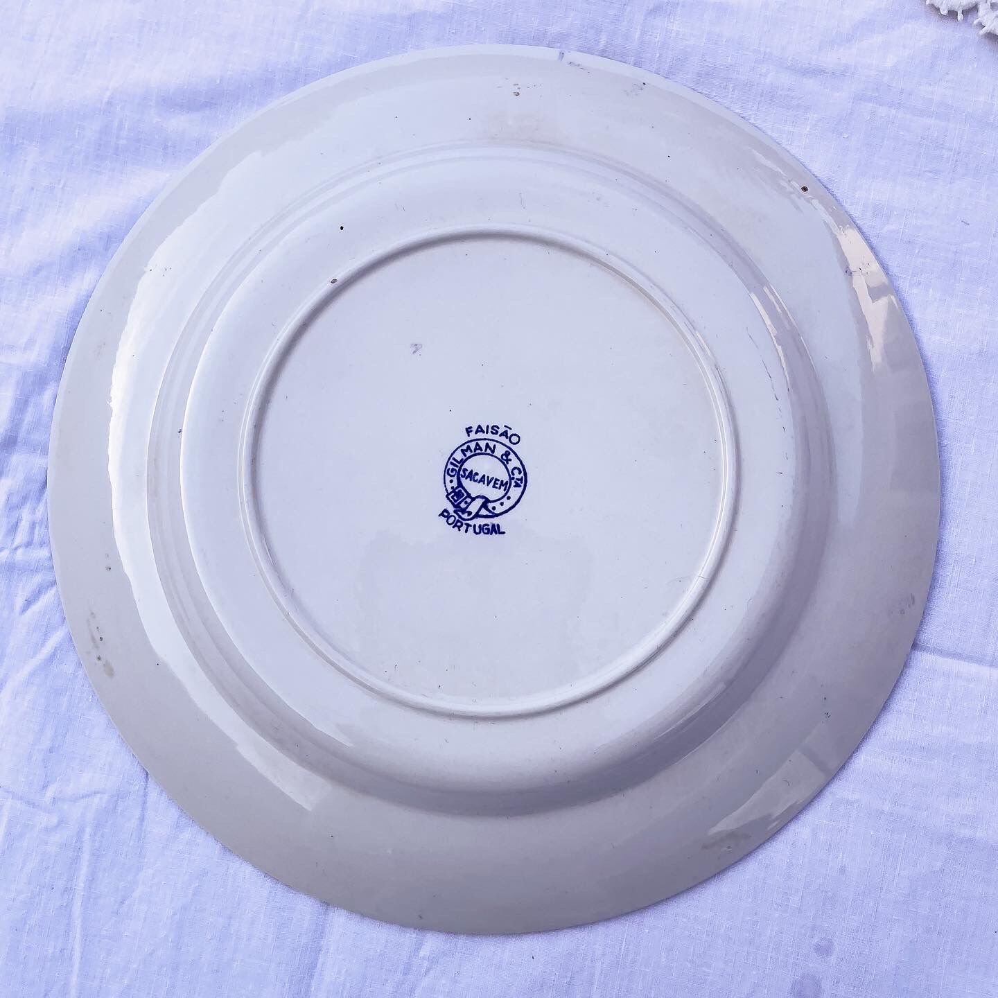 Duo of 2 flat plates Portuguese iron earth