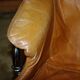 Vintage flynn model armchair by gastone rinaldi italy 1970