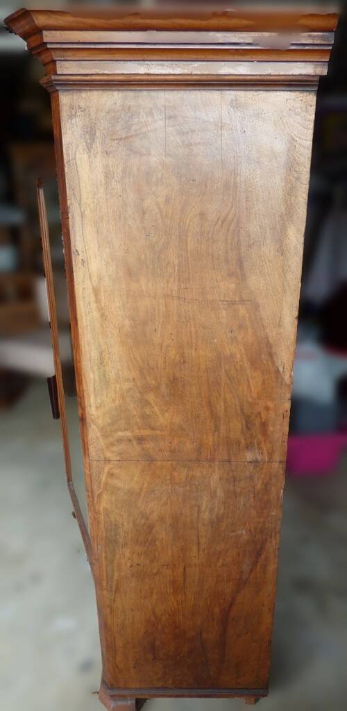 Walnut and walnut veneer display case 1 door circa 1900