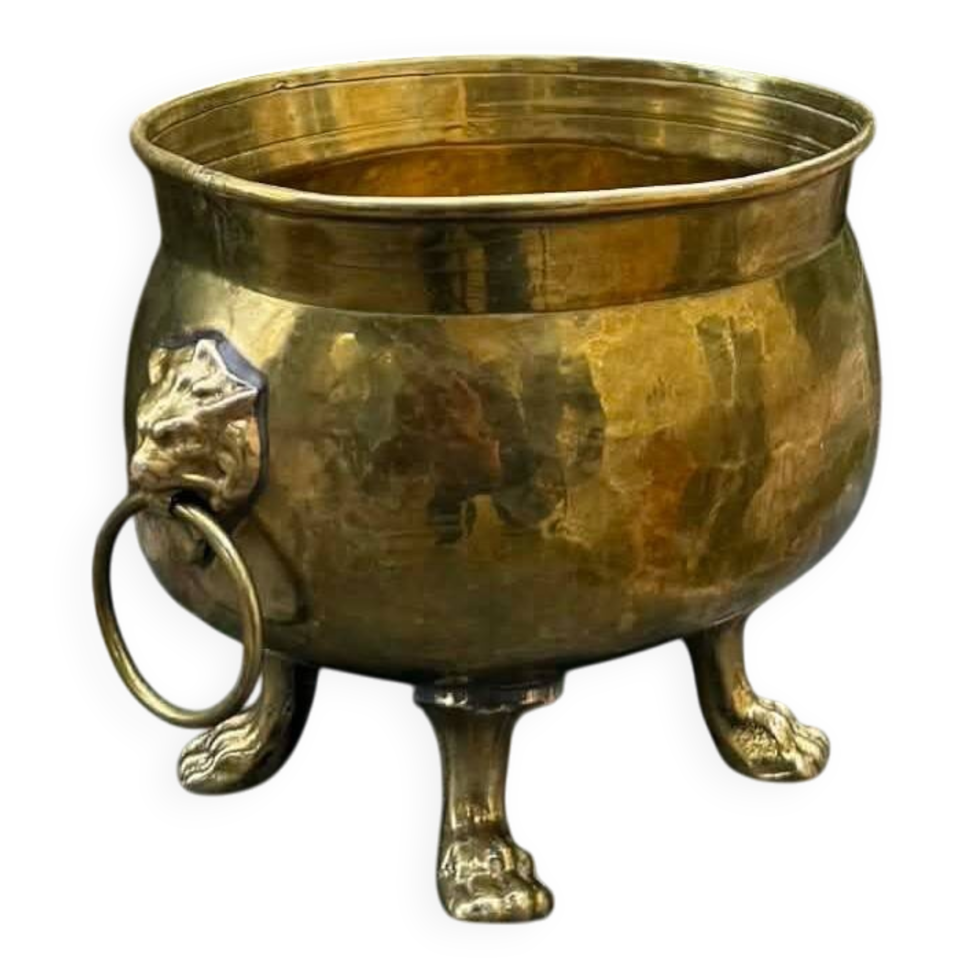 Baroque lion brass jardinière