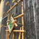 Vintage bamboo coat rack