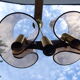 Plexiglas candelier 70