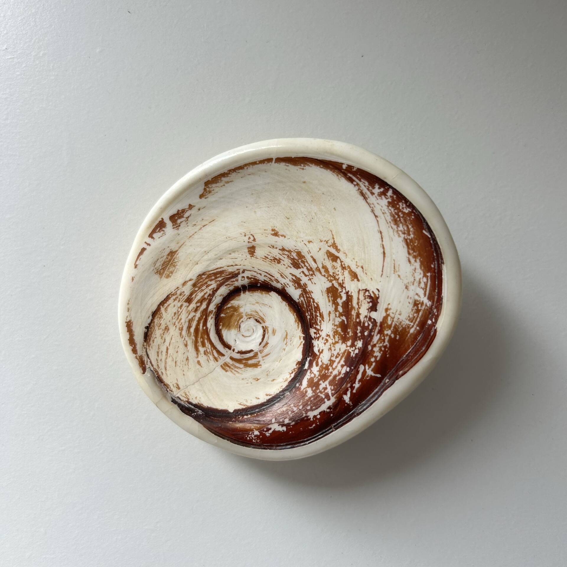 Fossilised shell