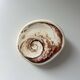Fossilised shell