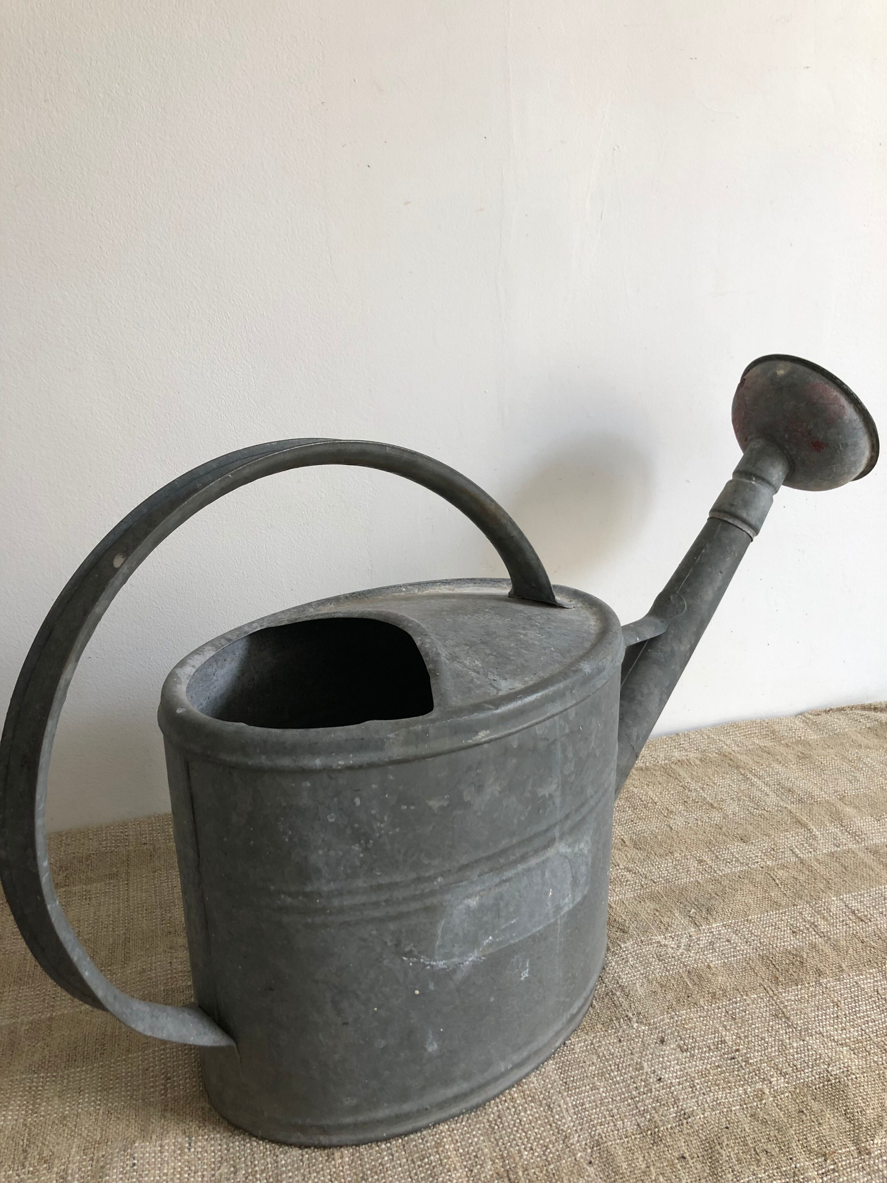 Zinc watering can with apple