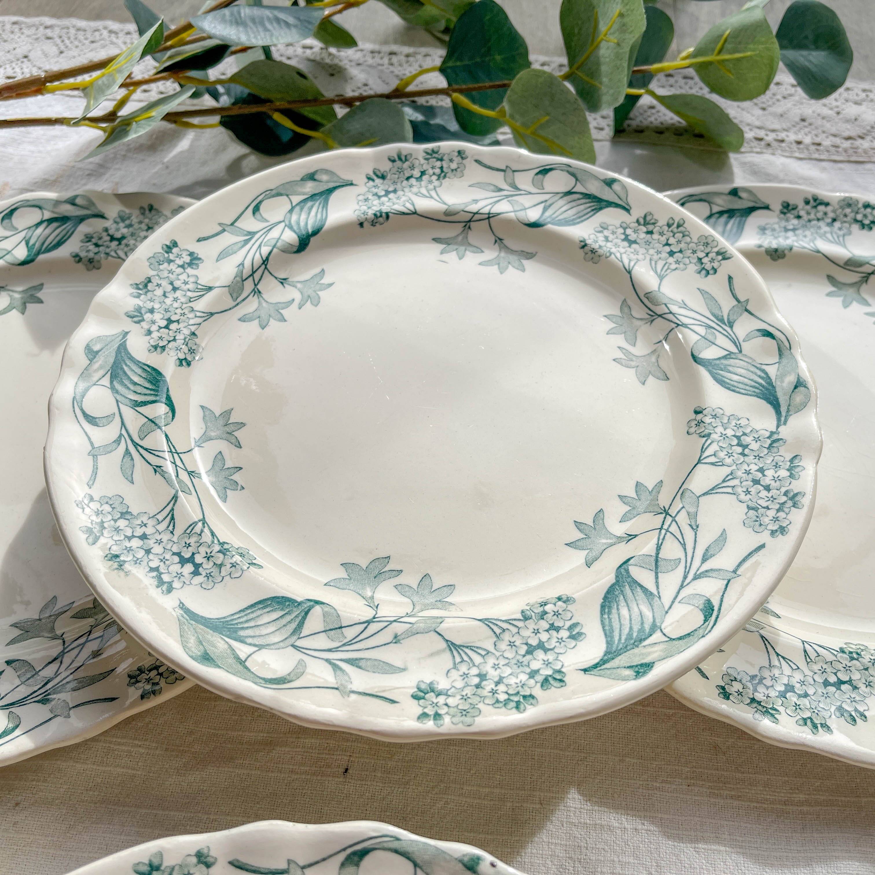 Set of 6 Antique Flat Plates Terre de Fer "Lilac" - Longchamp 19th Century