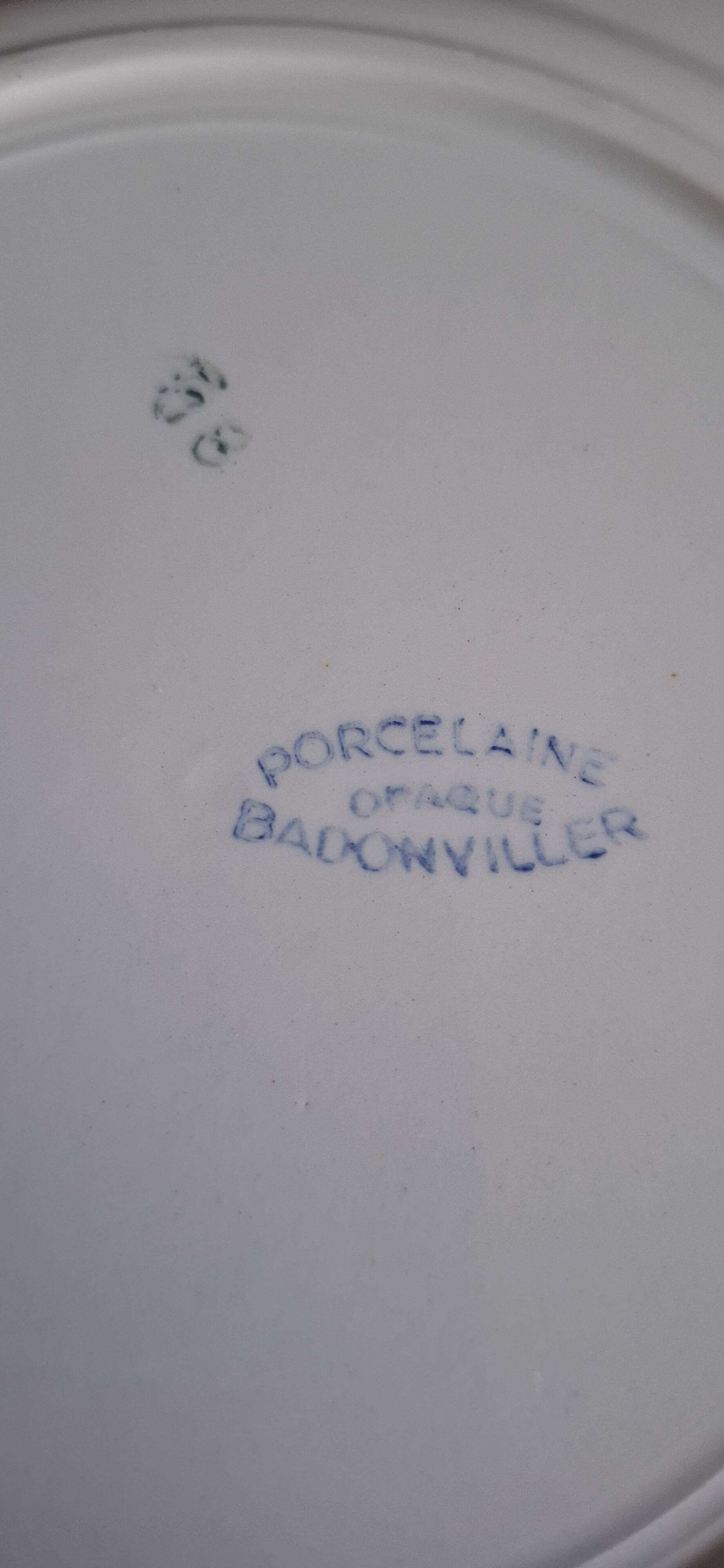 Set of 9 Badonviller flower dinner plates