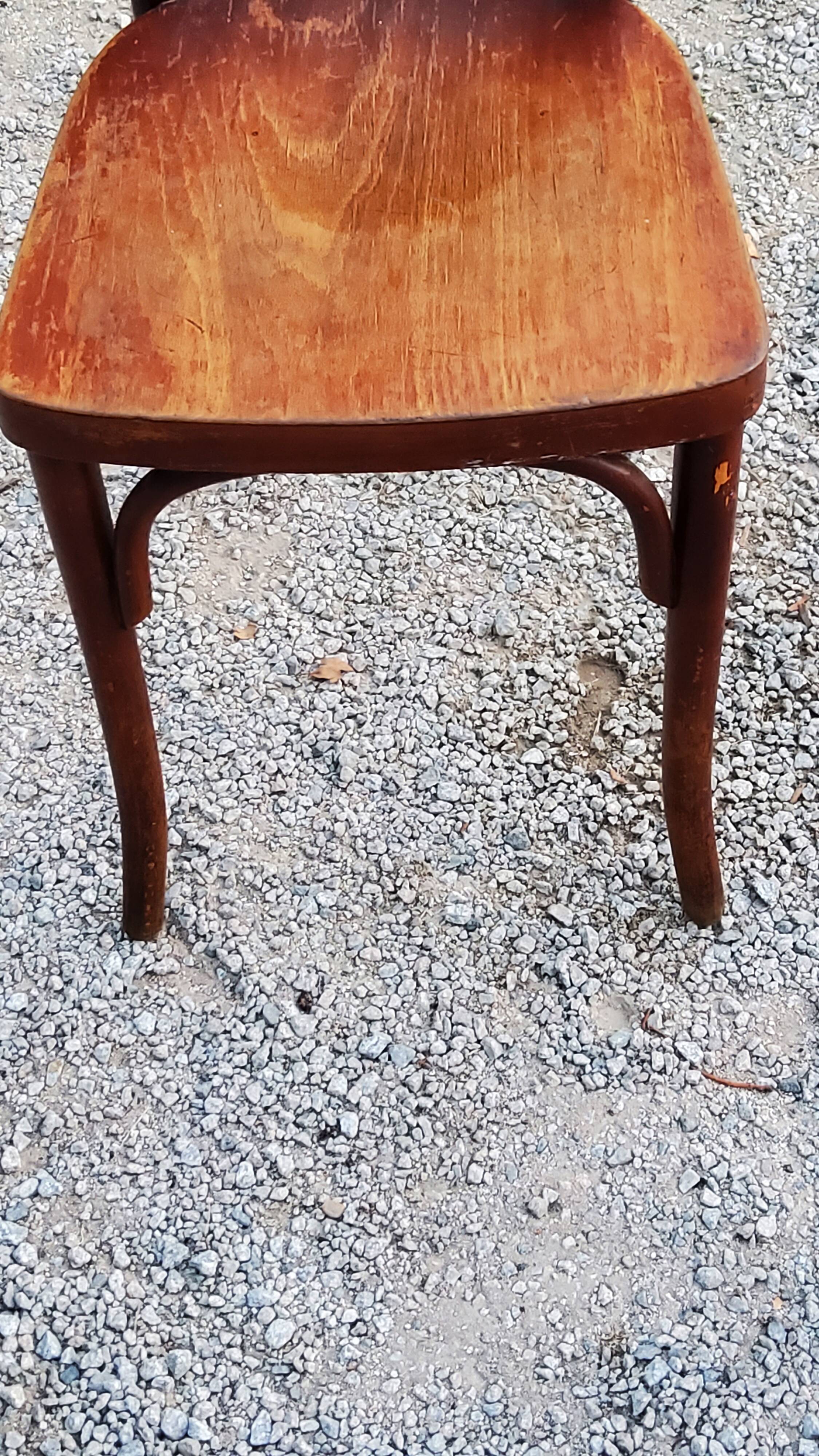 Set of 5 Stella Thonet bistro chairs from the 1950s