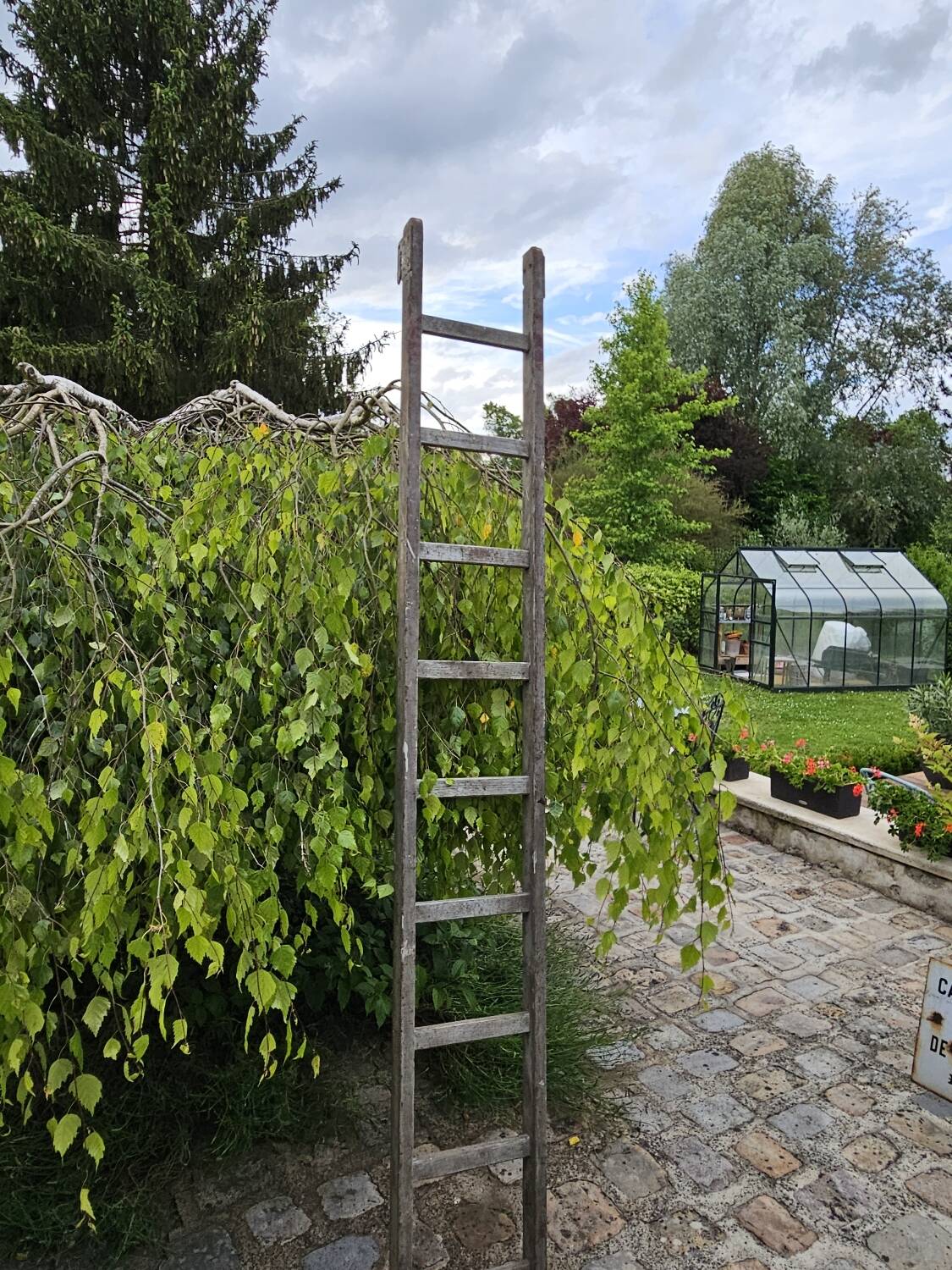 Wooden ladder