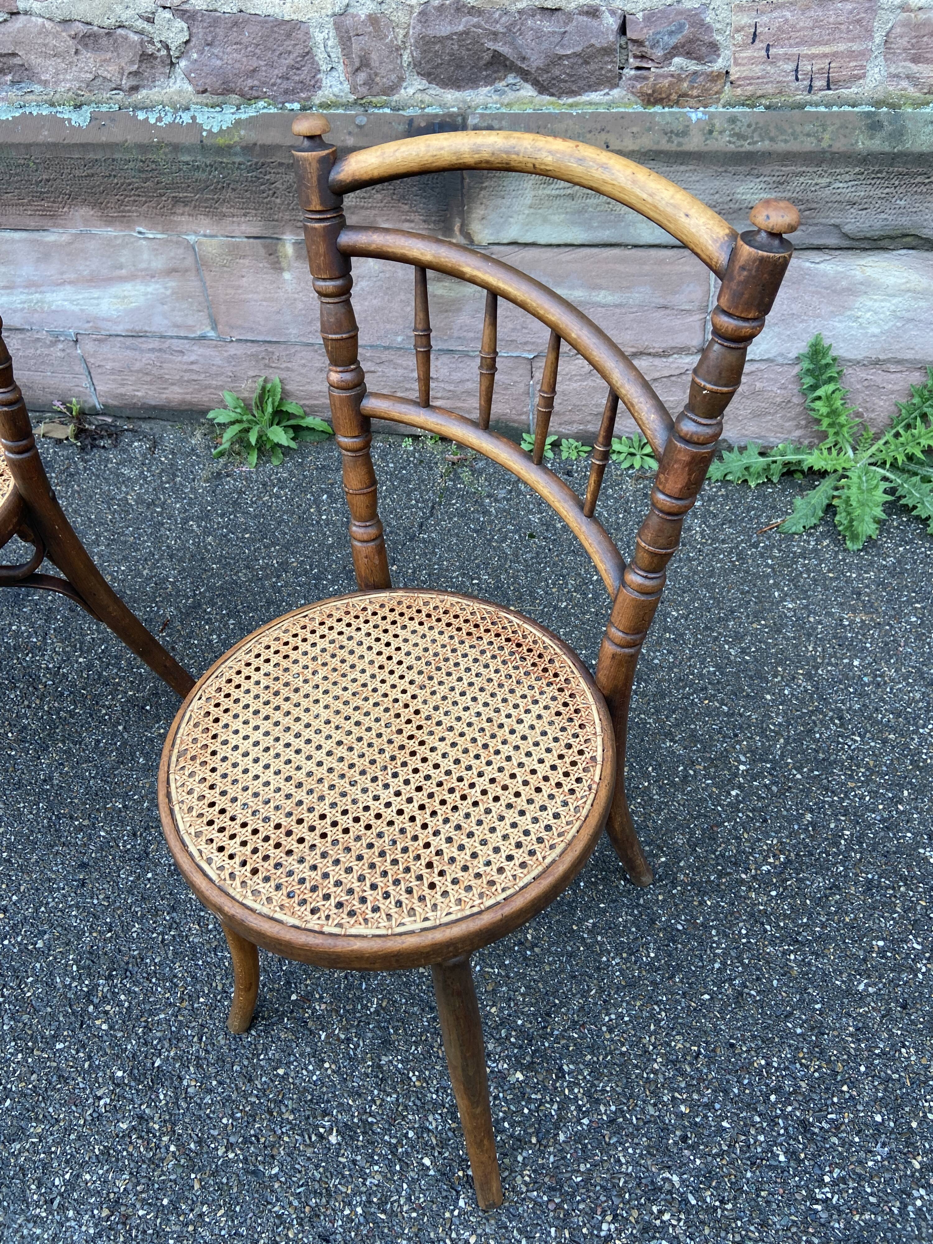 Pair of Viennese bistro café chairs by L. & H. Cambier Frères bentwood belgium