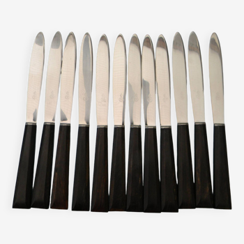 Set of 12 vintage stainless steel blade knives
