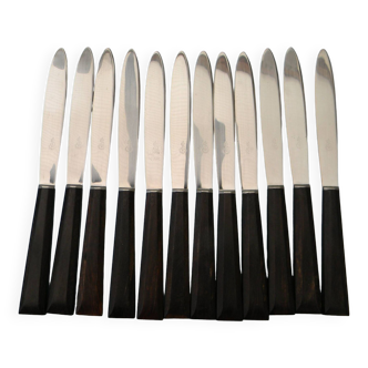 Lot de 12 couteaux vintage lame inox