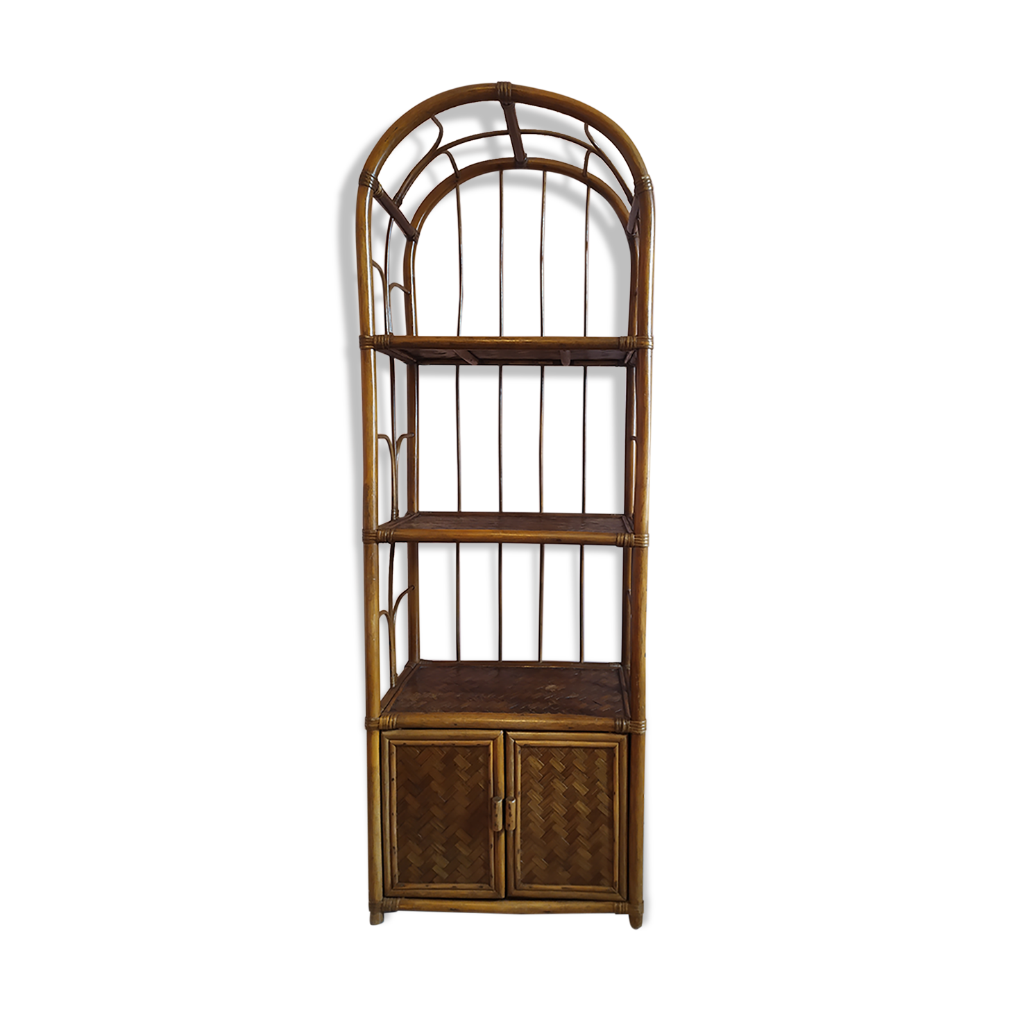 Rattan and bamboo library