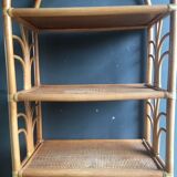 Rattan library shelf