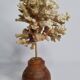 Old white coral on wooden base, branched, 20 cm