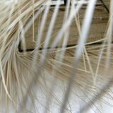 Wall lamp in natural fibres, woven straw with fringes.