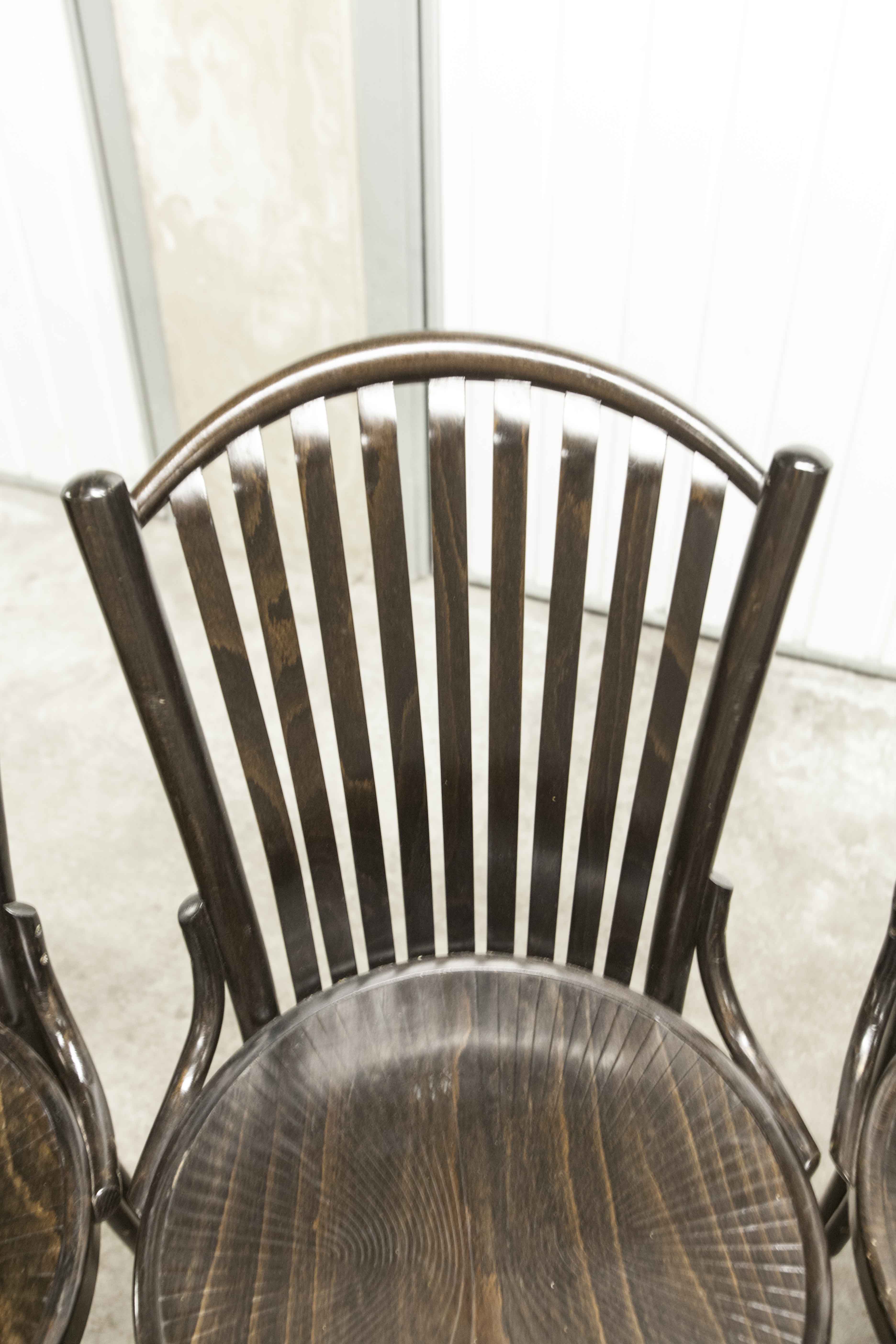 Set of 6 chairs Bistrot Baumann ref 22 curved wood