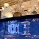 Mid-Century Modern Cobalt Blue Glass Mirror, Italy, 1950s