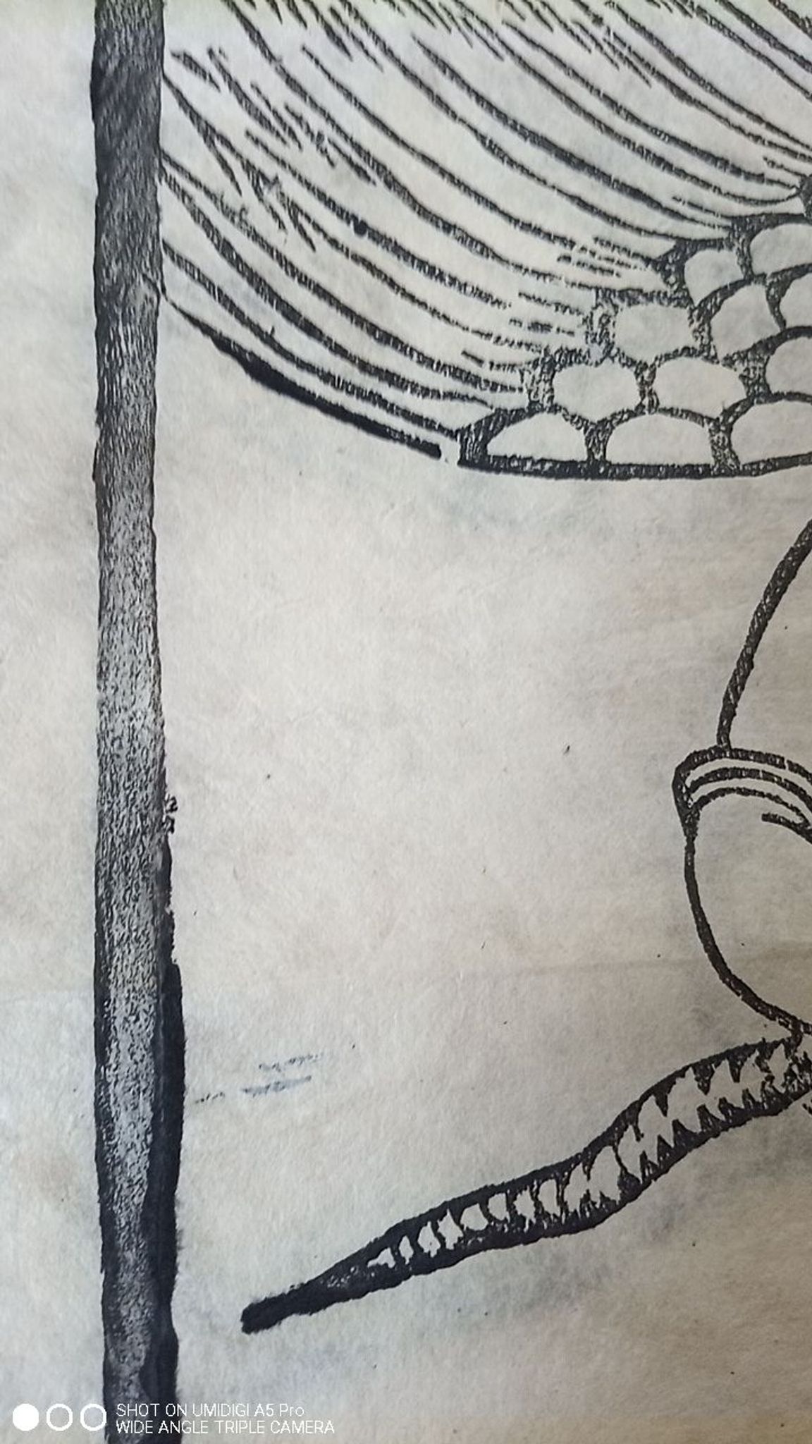Japanese print, modern reprint on rice paper