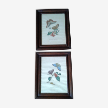 Lot of 2 butterfly lithographs