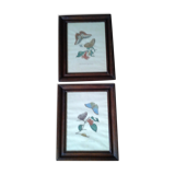 Lot of 2 butterfly lithographs