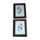 Lot de 2 lithographies de papillons