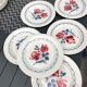 Lot de 6 assiettes sarreguemines digoin cannes