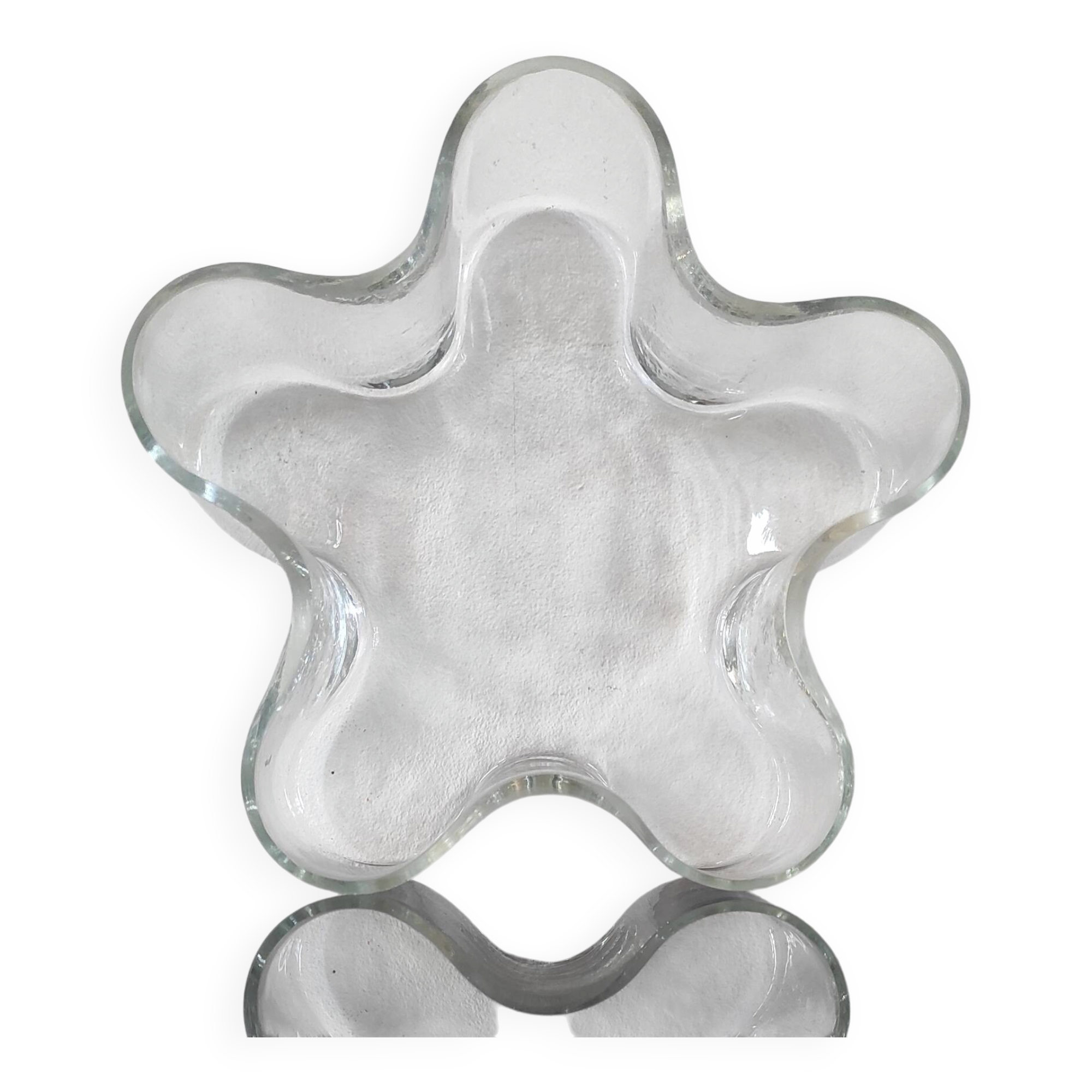 Grand vide-poche organique en verre transparent