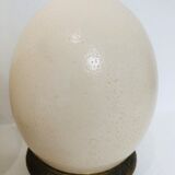 Pair of ostrich eggs on base, early 20th