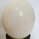 Pair of ostrich eggs on base, early 20th