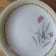 Sarreguemines cake dish