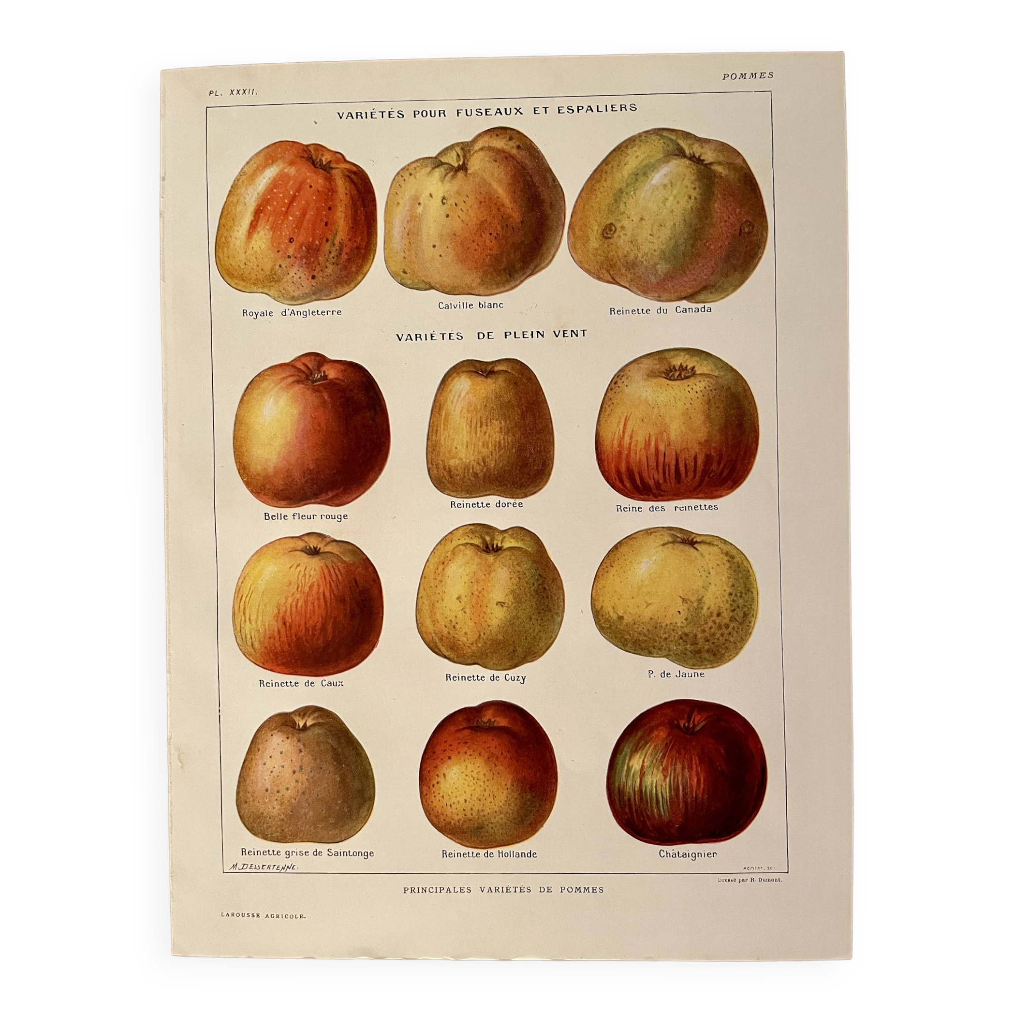Lithograph on apples - 1920