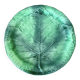 Barbotine plate leaf the red cedar